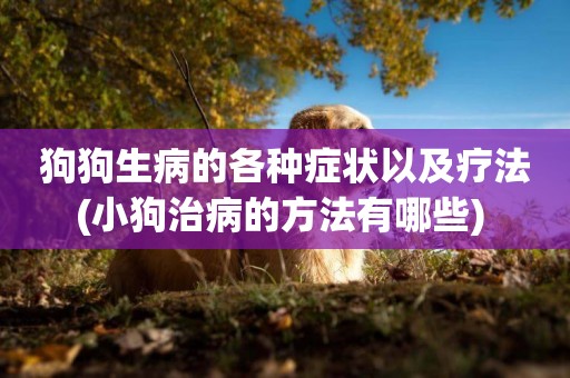 狗狗生病的各種癥狀以及療法(小狗治病的方法有哪些) 