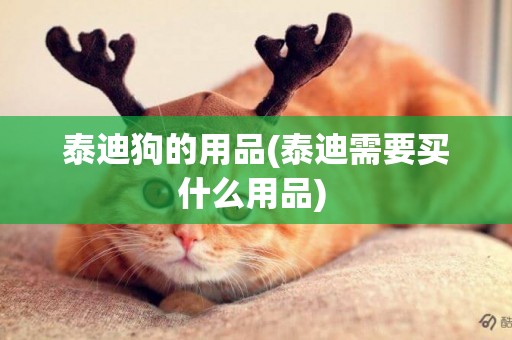 泰迪狗的用品(泰迪需要買什么用品) 