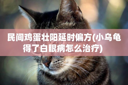 民間雞蛋壯陽延時偏方(小烏龜得了白眼病怎么治療) 