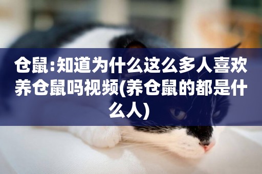 倉鼠:知道為什么這么多人喜歡養倉鼠嗎視頻(養倉鼠的都是什么人) 