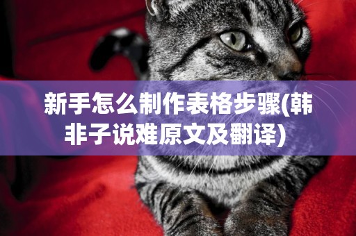 新手怎么制作表格步驟(韓非子說難原文及翻譯) 