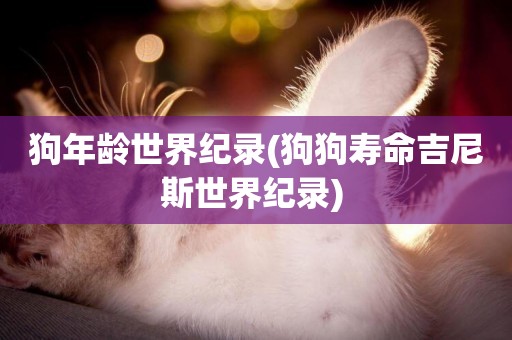 狗年齡世界紀錄(狗狗壽命吉尼斯世界紀錄) 