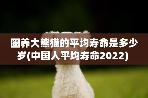 圈養大熊貓的平均壽命是多少歲(中國人平均壽命2022) 