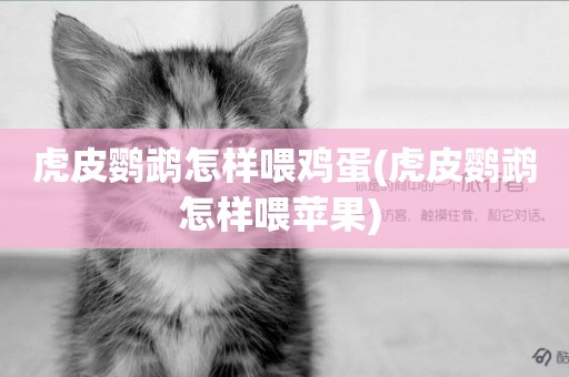 虎皮鸚鵡怎樣喂雞蛋(虎皮鸚鵡怎樣喂蘋果) 