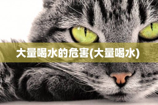 大量喝水的危害(大量喝水) 