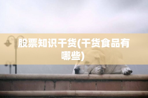 股票知識干貨(干貨食品有哪些) 