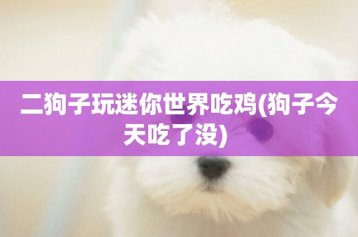 二狗子玩迷你世界吃雞(狗子今天吃了沒) 