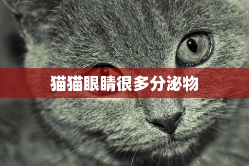 貓貓眼睛很多分泌物