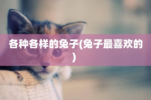 各種各樣的兔子(兔子最喜歡的) 