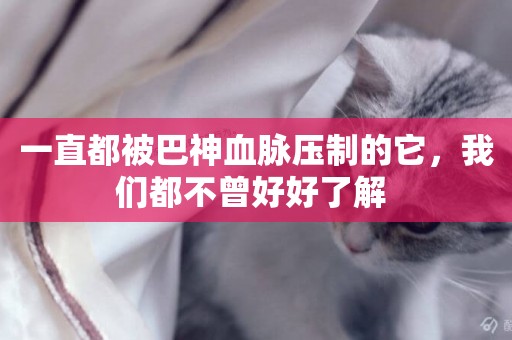 一直都被巴神血脈壓制的它，我們都不曾好好了解 