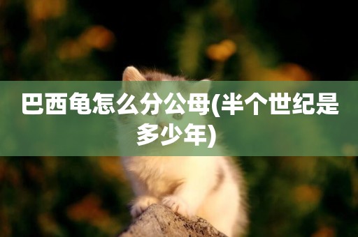 巴西龜怎么分公母(半個世紀是多少年) 