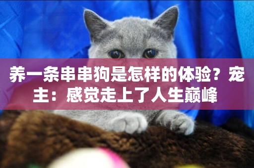 養一條串串狗是怎樣的體驗？寵主：感覺走上了人生巔峰 