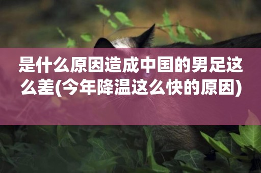 是什么原因造成中國的男足這么差(今年降溫這么快的原因) 