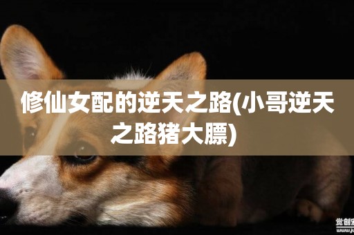 修仙女配的逆天之路(小哥逆天之路豬大膘) 