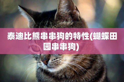 泰迪比熊串串狗的特性(蝴蝶田園串串狗) 