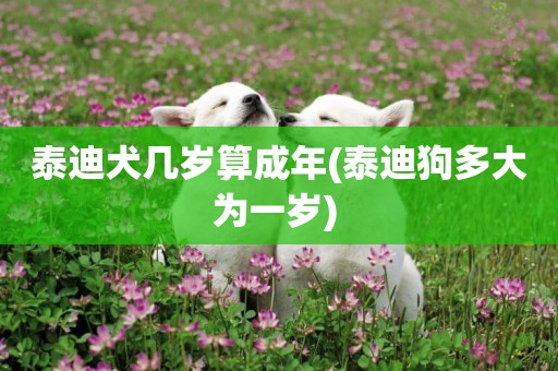 泰迪犬幾歲算成年(泰迪狗多大為一歲) 