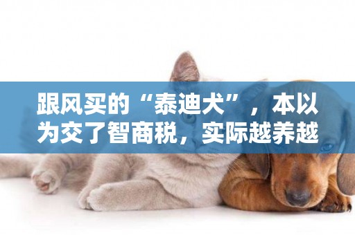 跟風買的“泰迪犬”，本以為交了智商稅，實際越養越上癮 