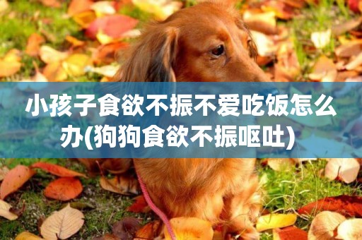 小孩子食欲不振不愛吃飯怎么辦(狗狗食欲不振嘔吐) 