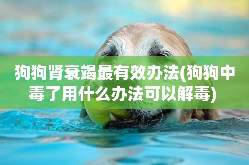 狗狗腎衰竭最有效辦法(狗狗中毒了用什么辦法可以解毒) 