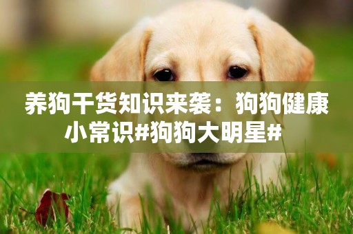 養狗干貨知識來襲：狗狗健康小常識#狗狗大明星# 