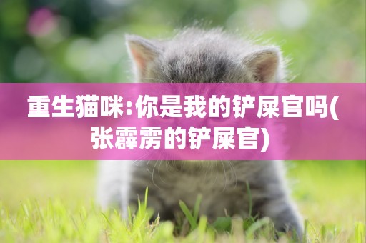 重生貓咪:你是我的鏟屎官嗎(張霹靂的鏟屎官) 
