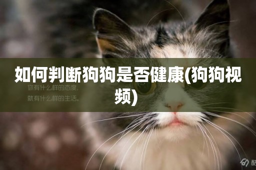 如何判斷狗狗是否健康(狗狗視頻) 