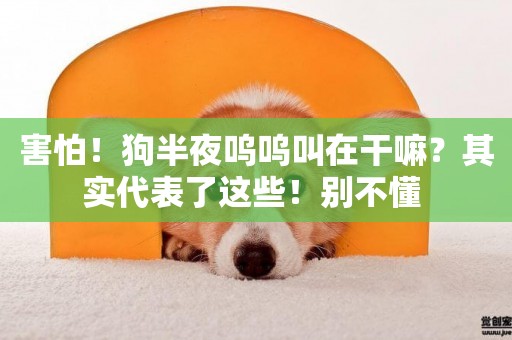 害怕！狗半夜嗚嗚叫在干嘛？其實代表了這些！別不懂 