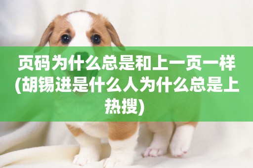 頁碼為什么總是和上一頁一樣(胡錫進是什么人為什么總是上熱搜) 