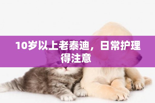 10歲以上老泰迪，日常護理得注意 