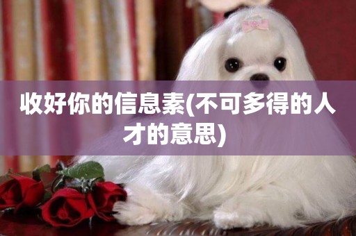 收好你的信息素(不可多得的人才的意思) 