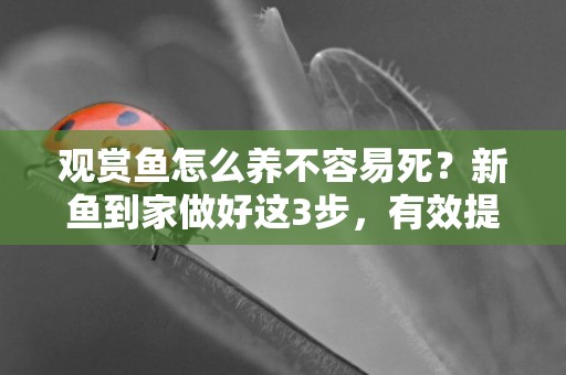 觀賞魚怎么養不容易死？新魚到家做好這3步，有效提高觀賞魚存活 