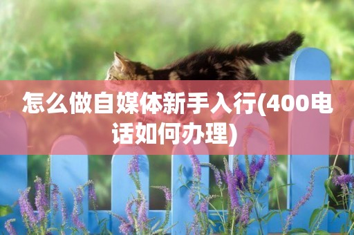 怎么做自媒體新手入行(400電話如何辦理) 