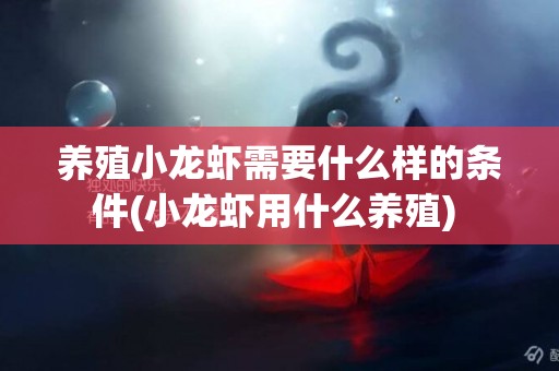 養殖小龍蝦需要什么樣的條件(小龍蝦用什么養殖) 