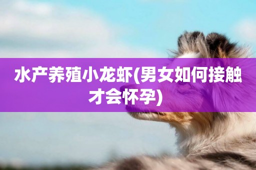 水產養殖小龍蝦(男女如何接觸才會懷孕) 