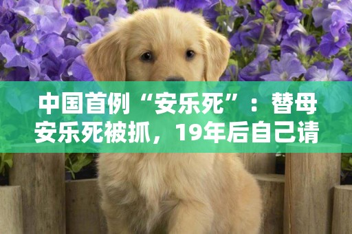 中國首例“安樂死”：替母安樂死被抓，19年后自己請求安樂死被拒 