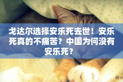 戈達爾選擇安樂死去世！安樂死真的不痛苦？中國為何沒有安樂死？ 