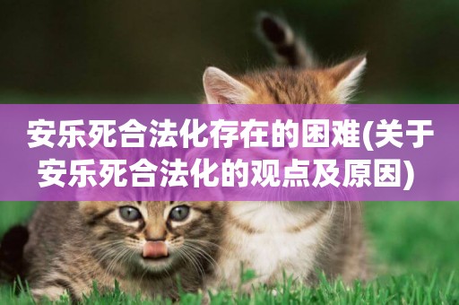 安樂死合法化存在的困難(關于安樂死合法化的觀點及原因) 