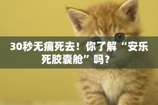 30秒無痛死去！你了解“安樂死膠囊艙”嗎？ 