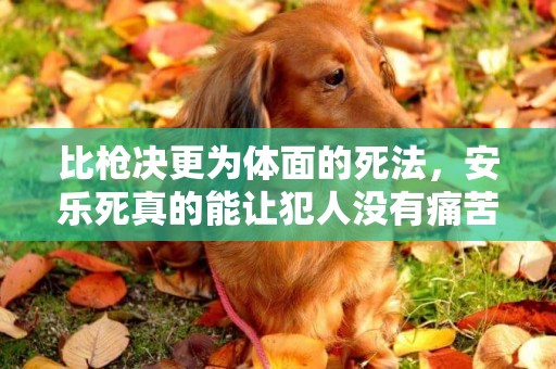 比槍決更為體面的死法，安樂死真的能讓犯人沒有痛苦的死去？ 