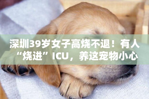 深圳39歲女子高燒不退！有人“燒進”ICU，養這寵物小心 