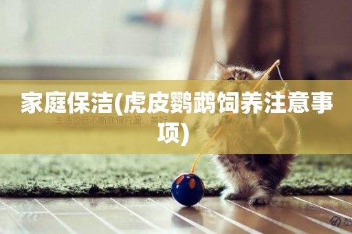 家庭保潔(虎皮鸚鵡飼養注意事項) 