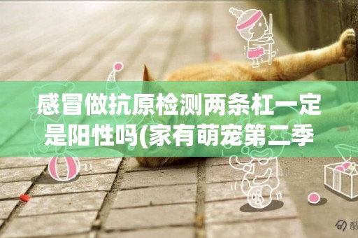 感冒做抗原檢測兩條杠一定是陽性嗎(家有萌寵第二季) 