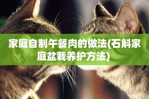 家庭自制午餐肉的做法(石斛家庭盆栽養護方法) 