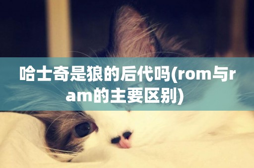 哈士奇是狼的后代嗎(rom與ram的主要區別) 