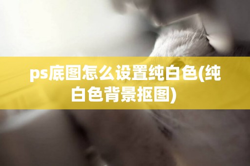 ps底圖怎么設置純白色(純白色背景摳圖) 