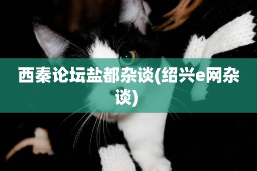 西秦論壇鹽都雜談(紹興e網雜談) 