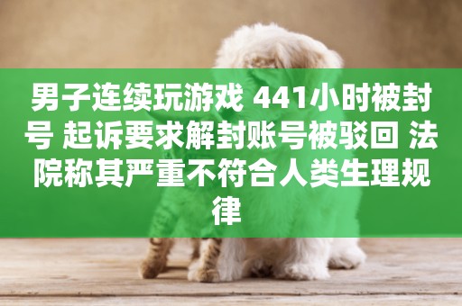 男子連續玩游戲 441小時被封號 起訴要求解封賬號被駁回 法院稱其嚴重不符合人類生理規律 