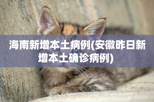 海南新增本土病例(安徽昨日新增本土確診病例) 