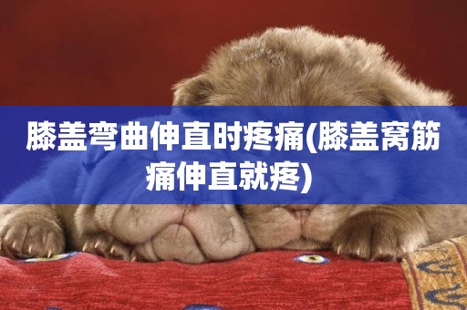 膝蓋彎曲伸直時疼痛(膝蓋窩筋痛伸直就疼) 