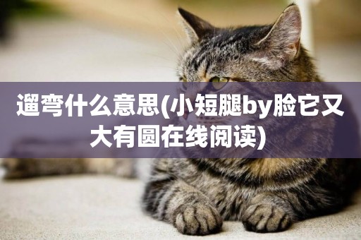 遛彎什么意思(小短腿by臉它又大有圓在線閱讀) 